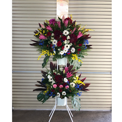 image-1.png.webp